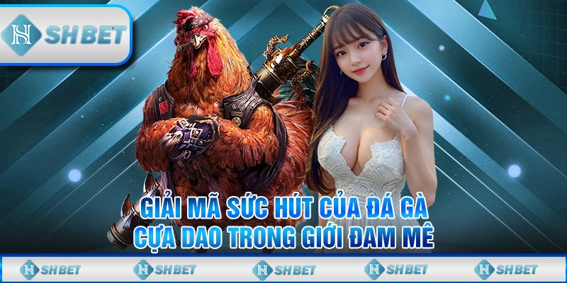 đá gà cựa dao