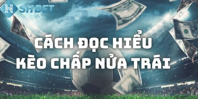 Áp dụng chiến lược hợp lý năm 2024