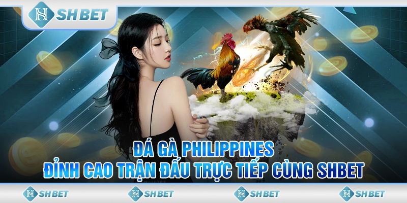 đá gà philippines