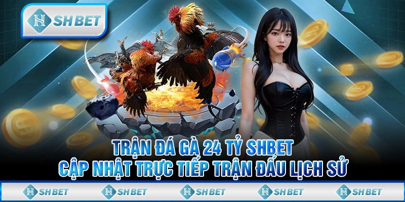 Trận Đá Gà 24 Tỷ SHBET - Cập Nhật Trực Tiếp Trận Đấu Lịch Sử