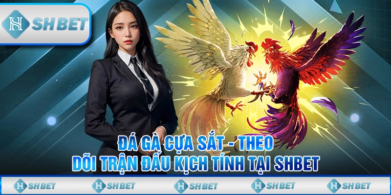 Đá gà cựa sắt