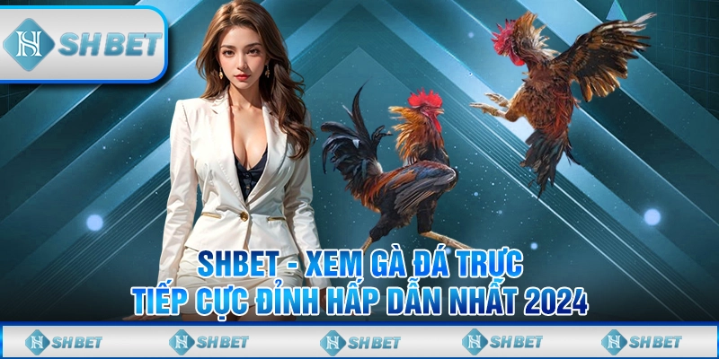 đá gà trực tiếp