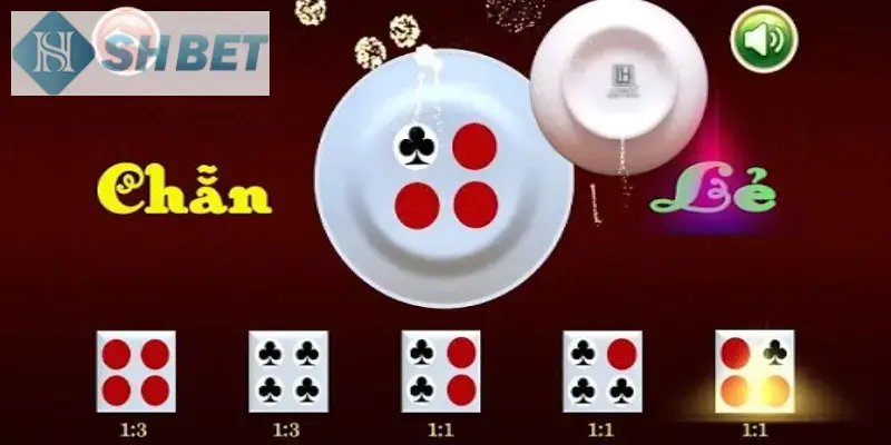 Hướng dẫn cách đánh xóc đĩa xanh chín có hiệu quả nhất