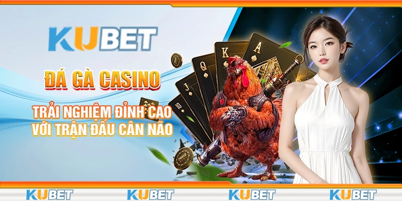 Đá Gà Casino - Trải Nghiệm Đỉnh Cao Với Trận Đấu Cân Não