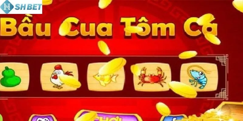 Mẹo chơi bầu cua trực tuyến hay đáng được học hỏi