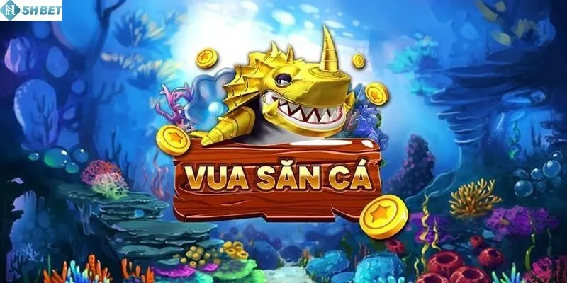 một số mẹo và chiến thuật hợp lý