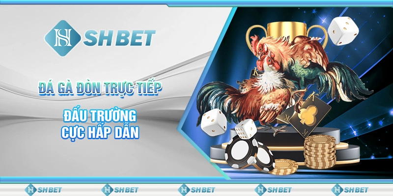 SHBET - Đá Gà Đòn Trực Tiếp: Đấu Trường Cực Hấp Dẫn