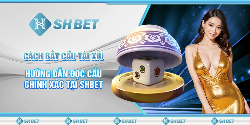 Cách Bắt Cầu Tài Xỉu - Hướng Dẫn Đọc Cầu Chính Xác Tại SHBET