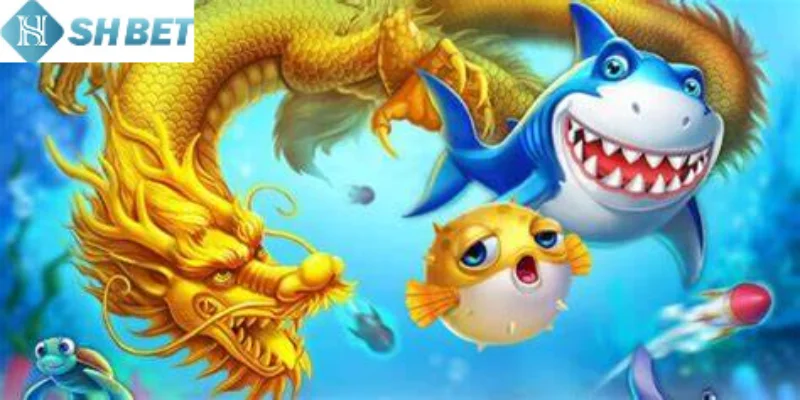 Hãy làm theo hướng dẫn cách chơi săn cá săn thưởng online hôm nay