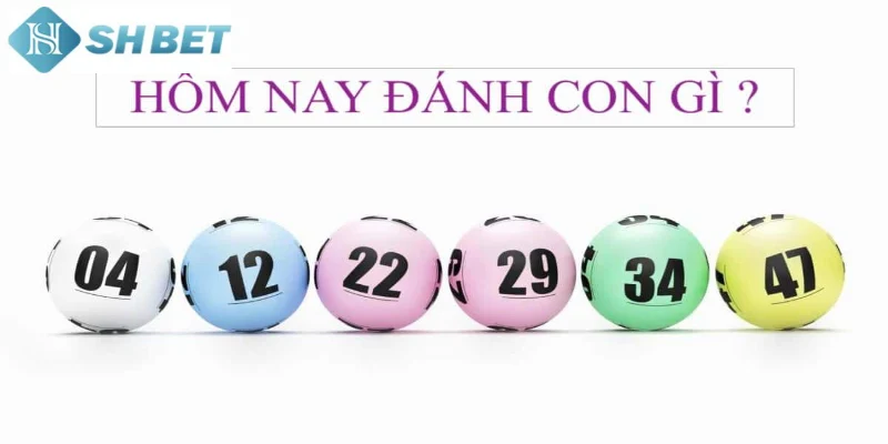 Thành viên hãy ddặt cược linh hoạt với nhiều loại kèo 12 con giáp