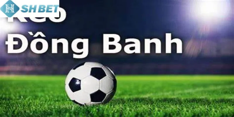 Theo dõi tỷ lệ cược kèo chấp cược đồng banh mỗi ngày hôm nay