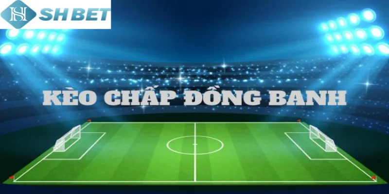 Lựa chọn SHBET để chơi kèo chấp cược đồng banh hôm nay