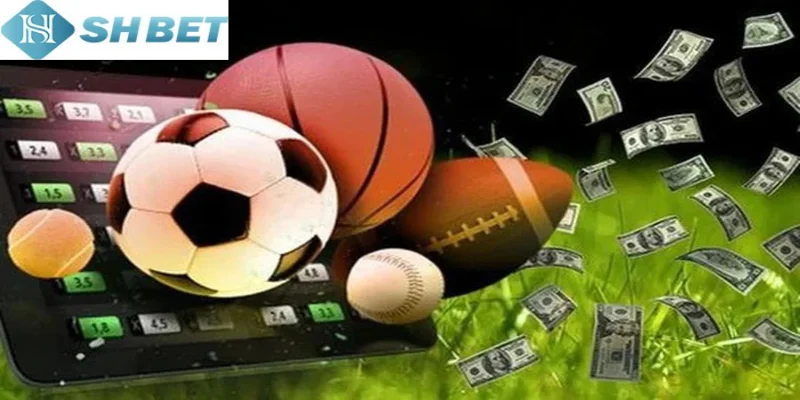 Đặt cược World Cup tài xỉu (over/under) cực vui mỗi ngày