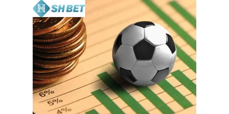Người chơi cược bóng đá chú ý đến môi trường thi đấu