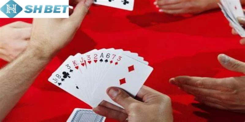 Người mới hãy thực hiện theo cách chơi tiến lên của miền Bắc