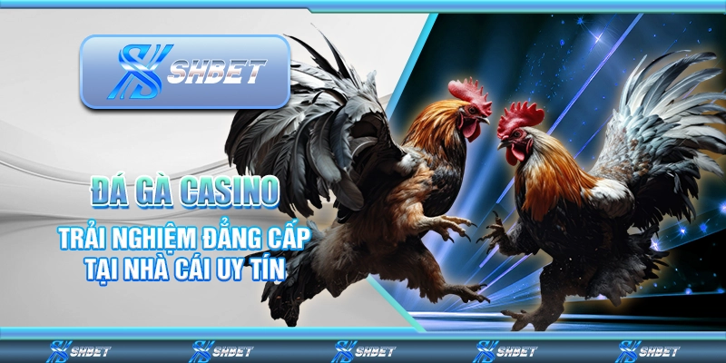 Đá Gà Casino – Trải Nghiệm Đẳng Cấp Tại Nhà Cái Uy Tín