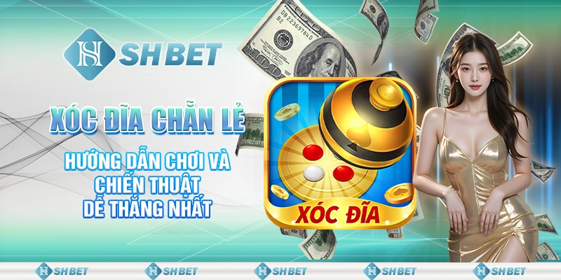 Xóc Đĩa Chẵn Lẻ - Hướng Dẫn Chơi Và Chiến Thuật Dễ Thắng Nhất