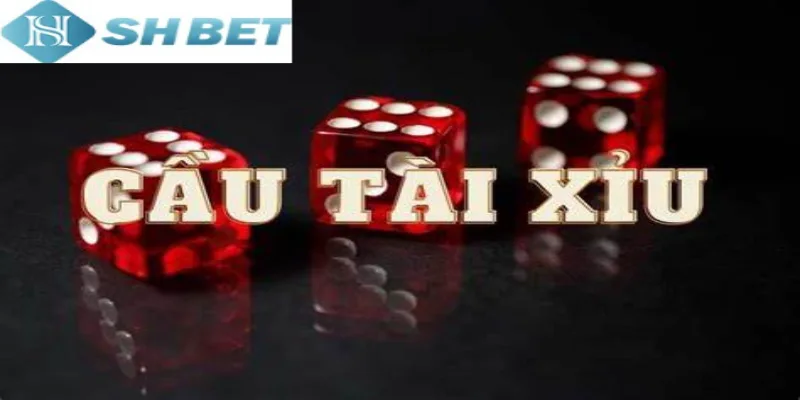 Tận dụng kinh nghiệm giúp bạn thắng khi soi cầu tài xỉu mới nhất chuẩn
