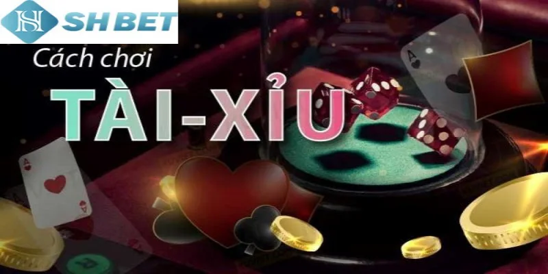 Tận dụng cách soi cầu tài xỉu hiệu quả cho người mới