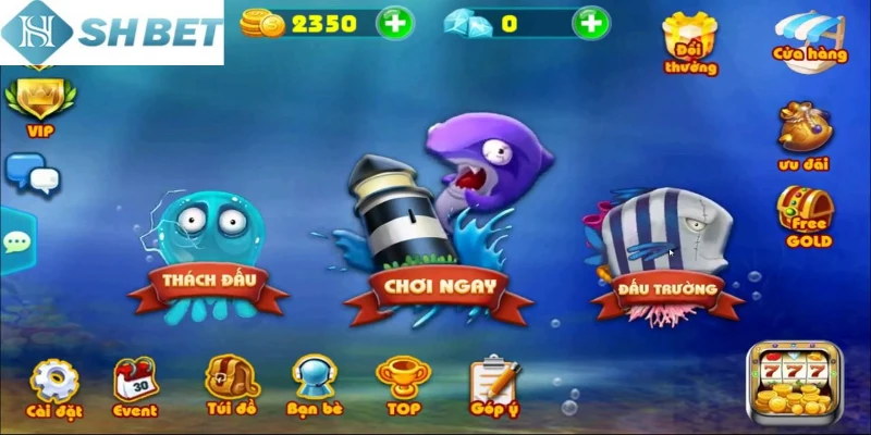 Chiến binh săn cá cần đối mặt với những thử thách đầu tiên của mình