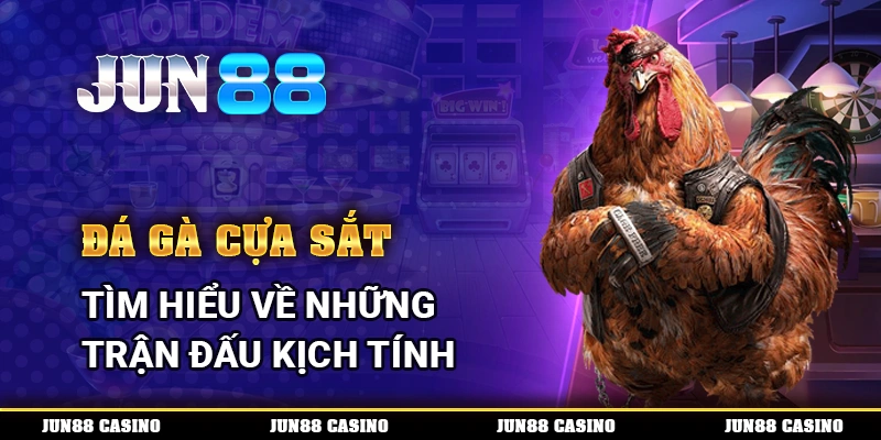 Đá gà cựa sắt