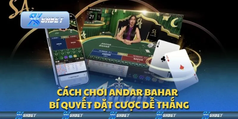 Cách chơi Andar Bahar - Bí quyết đặt cược dễ thắng