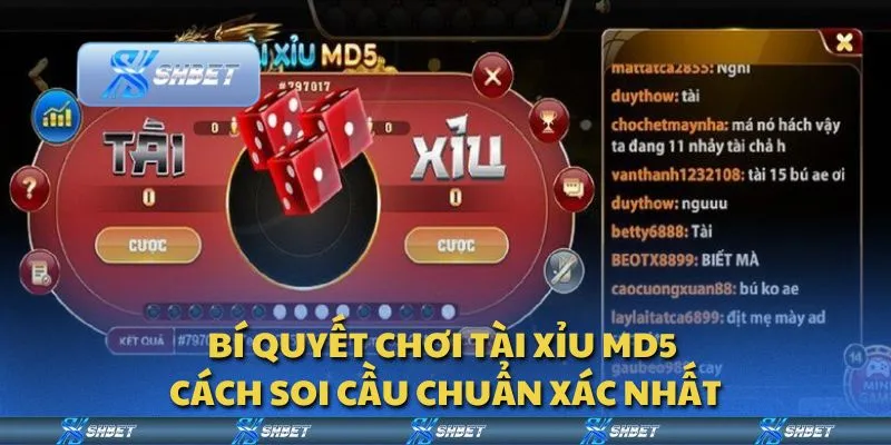 Bí quyết chơi tài xỉu MD5 - Cách soi cầu chuẩn xác nhất