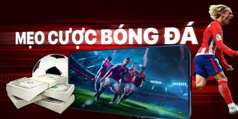 Tổng hợp các thông tin trận đấu cần phân tích 