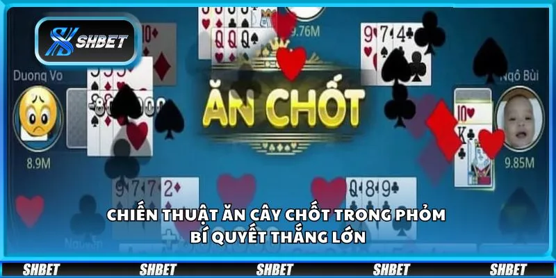 Chiến thuật ăn cây chốt trong phỏm - Bí quyết thắng lớn