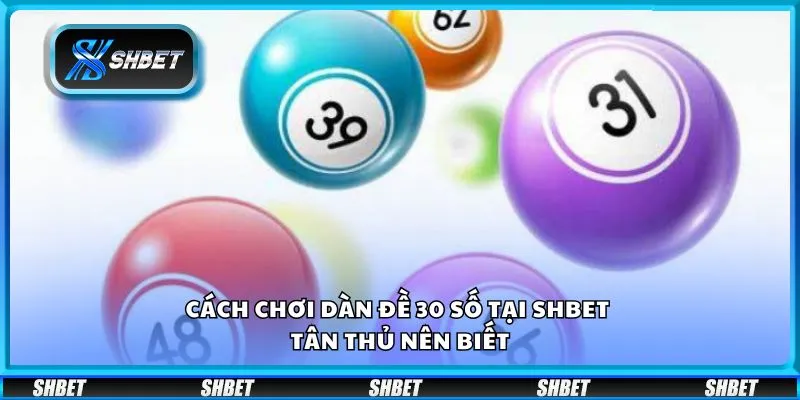 Cách chơi dàn đề 30 số tại Shbet - Tân thủ nên biết