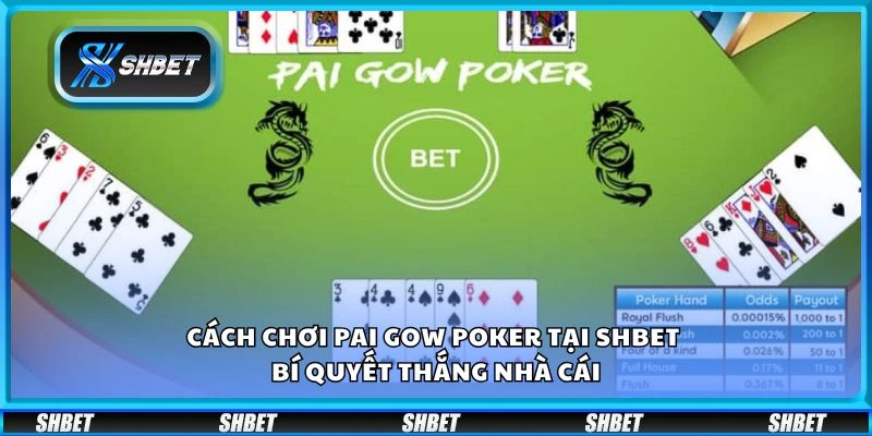 Cách chơi Pai Gow Poker tại Shbet – Bí quyết thắng nhà cái