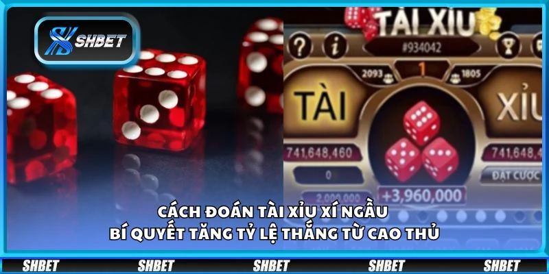 Cách đoán tài xỉu xí ngầu – Bí quyết tăng tỷ lệ thắng từ cao thủ