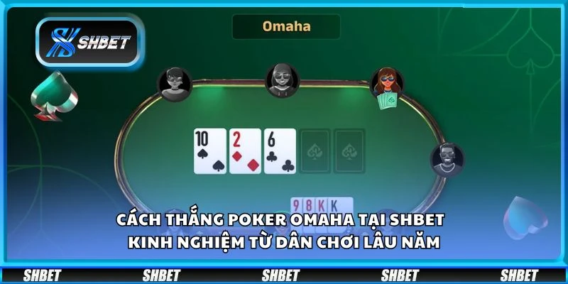 Cách thắng Poker Omaha tại Shbet - Kinh nghiệm từ dân chơi lâu năm