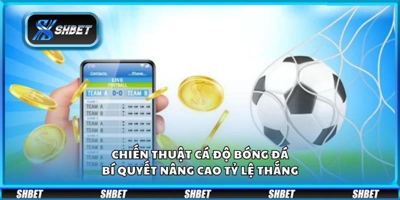Chiến thuật cá độ bóng đá - Bí quyết nâng cao tỷ lệ thắng