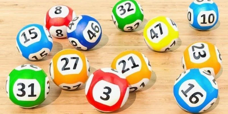 Hướng dẫn cách xây dựng dàn đề nuôi 2 ngày