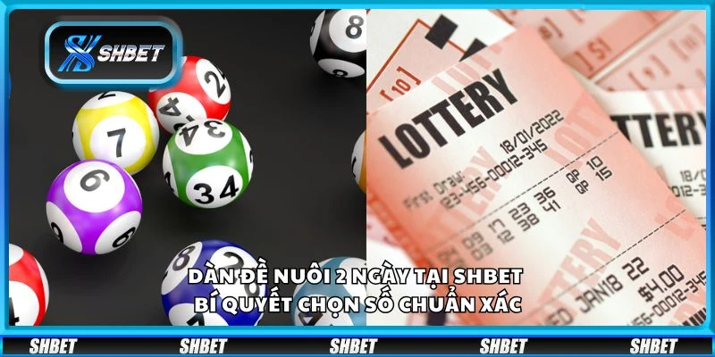 Dàn đề nuôi 2 ngày tại Shbet - Bí quyết chọn số chuẩn xác