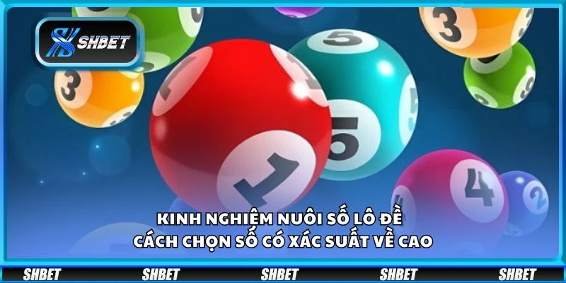 Kinh nghiệm nuôi số lô đề – Cách chọn số có xác suất về cao