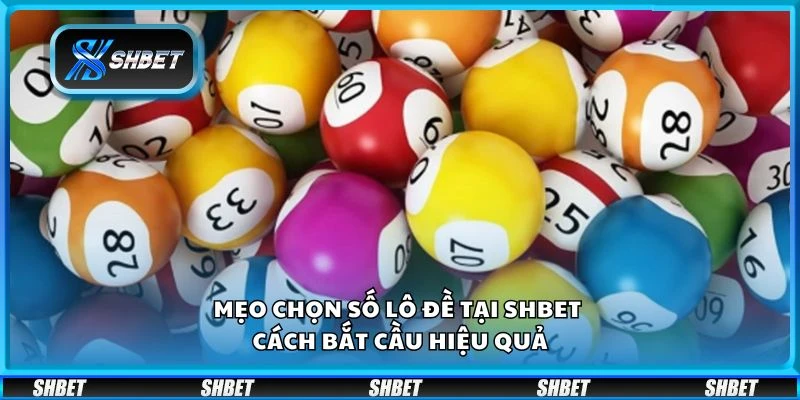 Mẹo chọn số lô đề tại Shbet - Cách bắt cầu hiệu quả