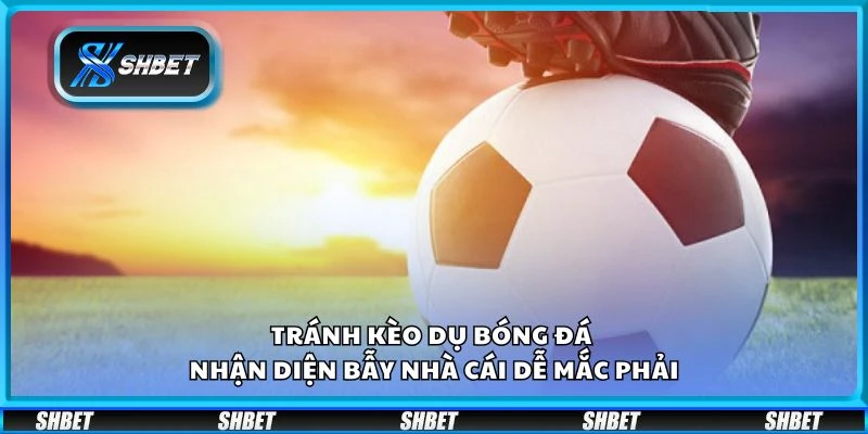 Tránh kèo dụ bóng đá - Nhận diện bẫy nhà cái dễ mắc phải